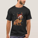Pesquisar por dachshund christmas camisetas Natal