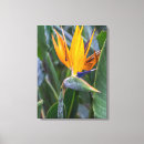 Pesquisar por paraíso impressão de canvas Flor