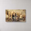 Pesquisar por elephant impressão de canvas África