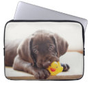 Pesquisar por labrador capas Cachorrinho