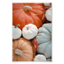 Pesquisar por thanksgiving pósteres pôsteres Fofofo