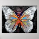 Pesquisar por butterflie pósteres pôsteres Colorful