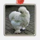 Pesquisar por penas ornamentos Plumagem