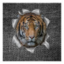 Pesquisar por tiger pôsteres Engraçado