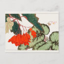 Pesquisar por begonia cartoes postais Floral