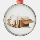 Pesquisar por divertimento ornamentos Retriever