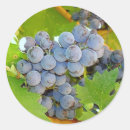 Pesquisar por uvas roxas adesivos Vinho