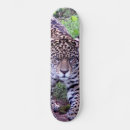 Pesquisar por onça skates Gato