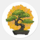 Pesquisar por bonsai adesivos Japão