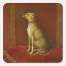Pesquisar por galgo italiano adesivos Animal de estimação