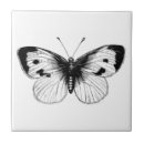 Pesquisar por borboleta branca das borboletas azulejos Branco