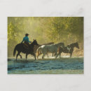 Pesquisar por 49 cartoes postais Horizontal