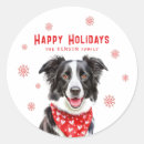 Pesquisar por de border collie adesivos Foto