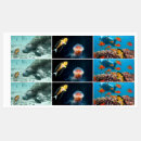 Pesquisar por da sereia etiquetas Mar