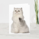Pesquisar por persian cartoes Cute