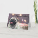 Pesquisar por funny pug cartoes Birthday