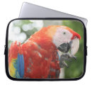 Pesquisar por papagaio laptop sleeves Aves