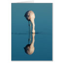 Pesquisar por deserto de atacama cartoes postais Flamingo