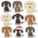 Pesquisar por cor do cabelo eletronicos Bonito