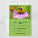 Pesquisar por coneflower roxo Púrpura