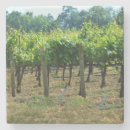 Pesquisar por videiras porta copos Verde