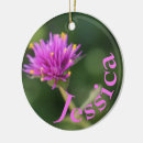 Pesquisar por da natureza ornamentos Jardim