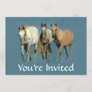 Pesquisar por cavalos selvagens convites Equestre
