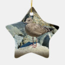 Pesquisar por gaivotas ornamentos Costa