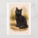 Pesquisar por gatos antigos cartoes postais Vintage