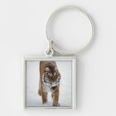 Pesquisar por tigre siberian chaveiros Animais no selvagem