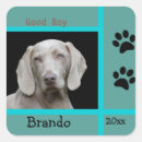 Pesquisar por weimaraner adesivos Animal