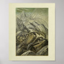 Pesquisar por crab Natural