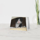 Pesquisar por tuxedo kitten cartoes Gato