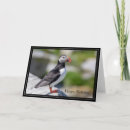Pesquisar por puffin cartoes Natureza