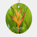 Pesquisar por flower garden ornamentos Flor