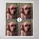 Pesquisar por fábrica imas Monograma