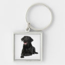 Pesquisar por cão preto de labrador retriever chaveiros Cães