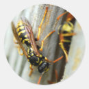 Pesquisar por vespas adesivos Inseto