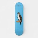 Pesquisar por águias skates Qualquer pessoa