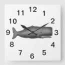 Pesquisar por desenhos baleia artes pôsteres Peixe