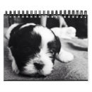 Pesquisar por da panda calendarios Bonito