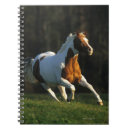 Pesquisar por cavalo do pinto cadernos de notas Prumo langrish
