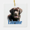 Pesquisar por camisas ornamentos Feriado