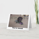 Pesquisar por amor gato cartoes Doce