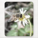 Pesquisar por bumble a abelha eletronicos Natureza