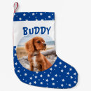 Pesquisar por filhotes cachorro de meias de natal Dogs