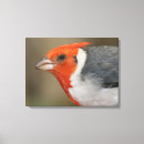 Pesquisar por alaranjadas impressão de canvas Fotografia