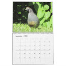 Pesquisar por observadores calendarios Observação de pássaros