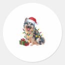 Pesquisar por spitz adesivos Cão
