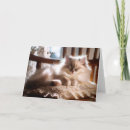 Pesquisar por humor felino cartoes Gatinho